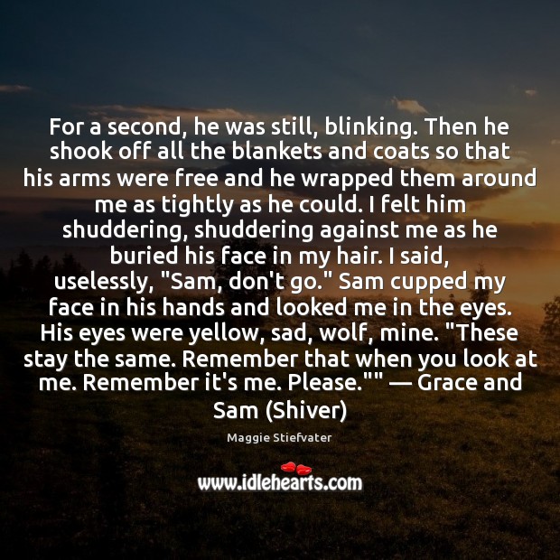 For a second, he was still, blinking. Then he shook off all Maggie Stiefvater Picture Quote
