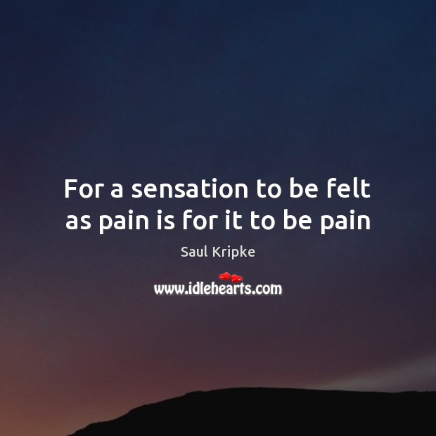 For a sensation to be felt as pain is for it to be pain Saul Kripke Picture Quote