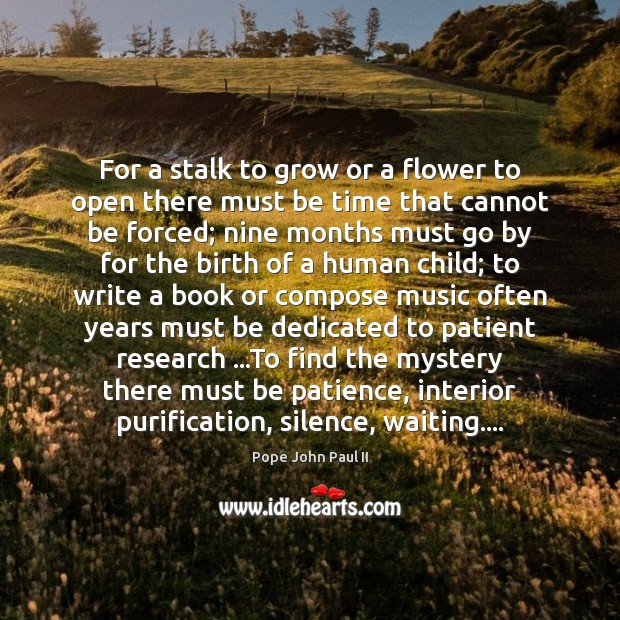 For a stalk to grow or a flower to open there must Pope John Paul II Picture Quote