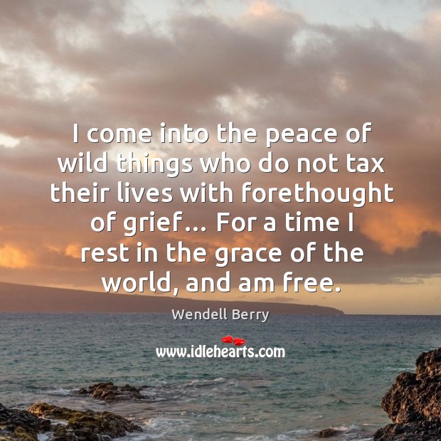 For a time I rest in the grace of the world, and am free. Image