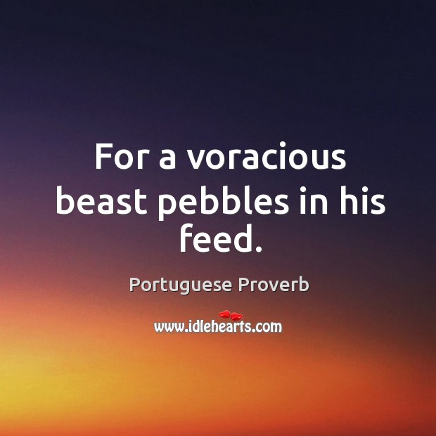 For a voracious beast pebbles in his feed. Portuguese Proverbs Image