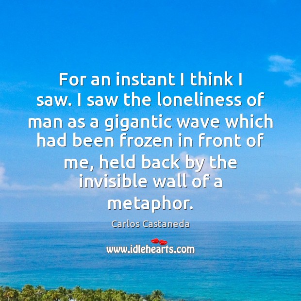 For an instant I think I saw. I saw the loneliness of Carlos Castaneda Picture Quote