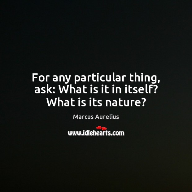 For any particular thing, ask: What is it in itself? What is its nature? Image
