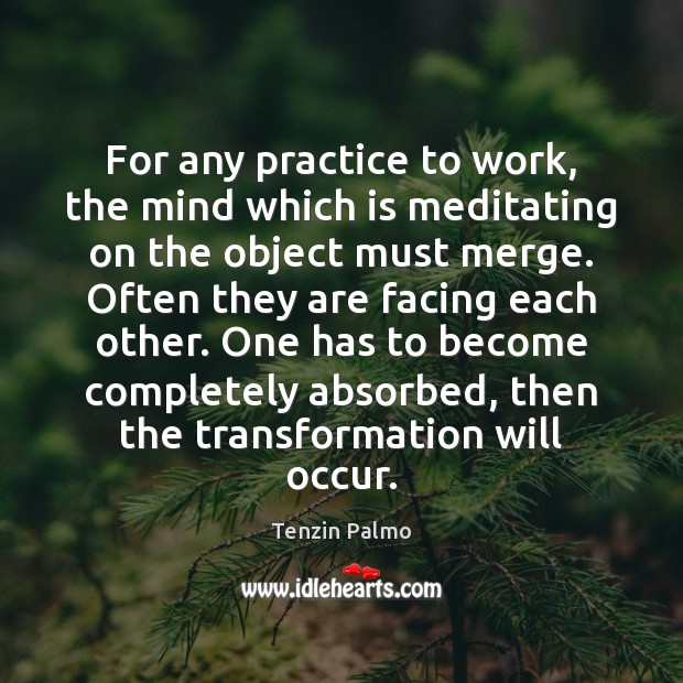For any practice to work, the mind which is meditating on the Tenzin Palmo Picture Quote