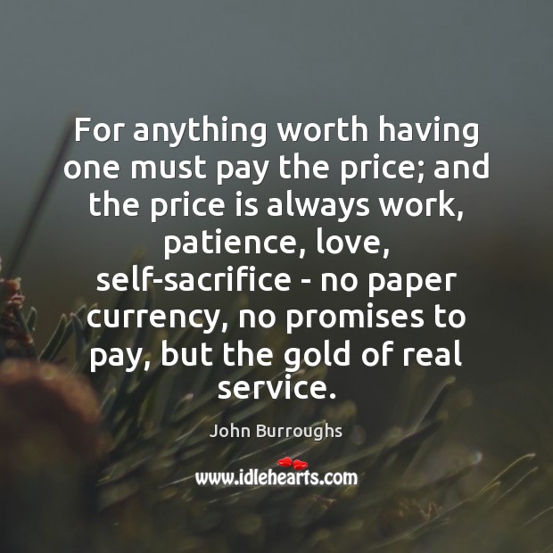 For anything worth having one must pay the price; and the price John Burroughs Picture Quote
