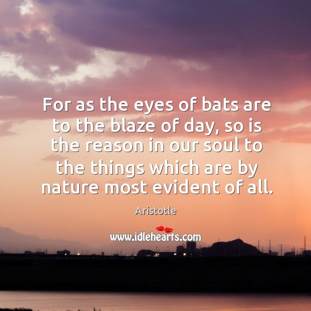 For as the eyes of bats are to the blaze of day, so is the reason in our soul to the 