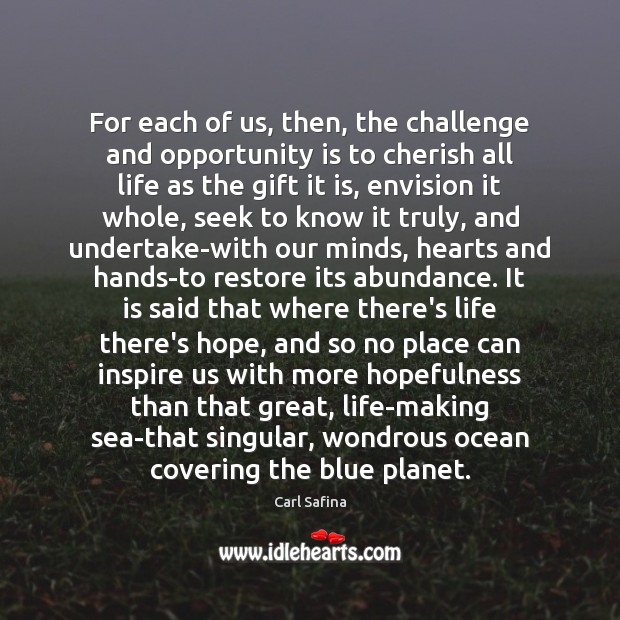 For each of us, then, the challenge and opportunity is to cherish Challenge Quotes Image