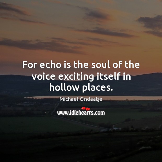 For echo is the soul of the voice exciting itself in hollow places. Image