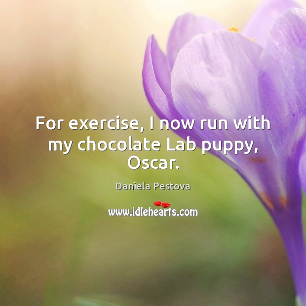 For exercise, I now run with my chocolate Lab puppy, Oscar. Image