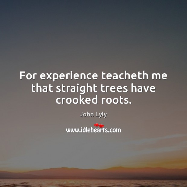 For experience teacheth me that straight trees have crooked roots. John Lyly Picture Quote