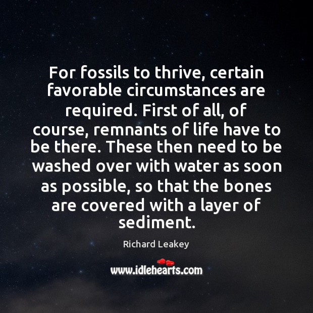 For fossils to thrive, certain favorable circumstances are required. First of all, 