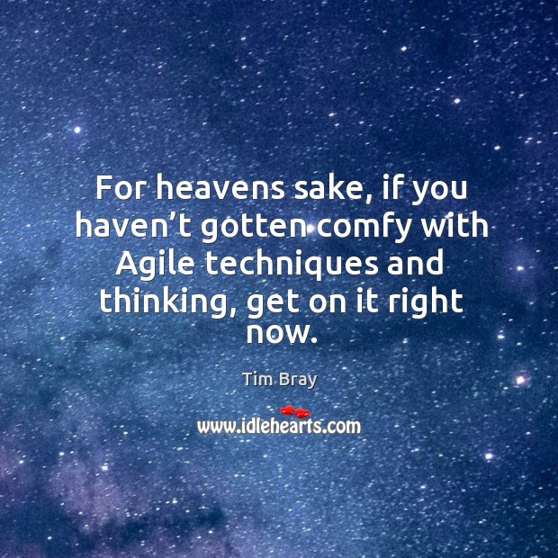 For heavens sake, if you haven’t gotten comfy with Agile techniques Tim Bray Picture Quote
