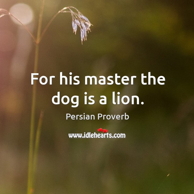 For his master the dog is a lion. Persian Proverbs Image