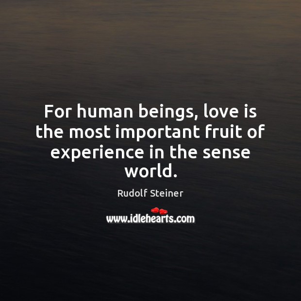 For human beings, love is the most important fruit of experience in the sense world. Rudolf Steiner Picture Quote
