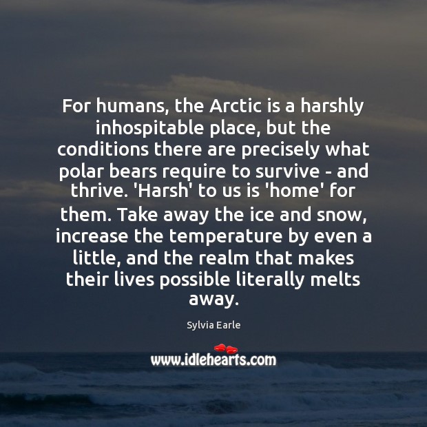 For humans, the Arctic is a harshly inhospitable place, but the conditions Sylvia Earle Picture Quote