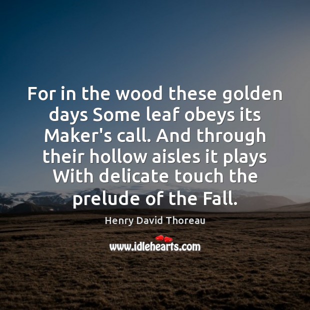 For in the wood these golden days Some leaf obeys its Maker’s Image
