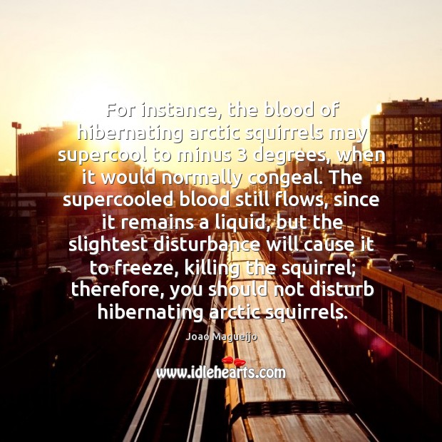For instance, the blood of hibernating arctic squirrels may supercool to minus 3 Joao Magueijo Picture Quote