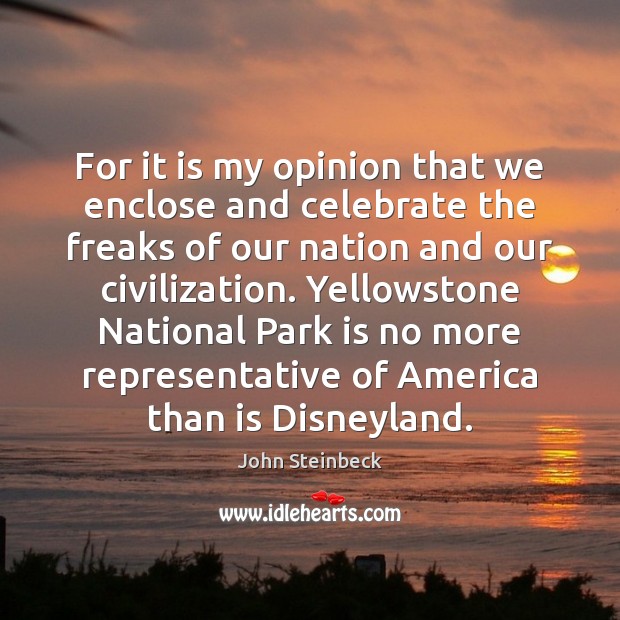 For it is my opinion that we enclose and celebrate the freaks Celebrate Quotes Image