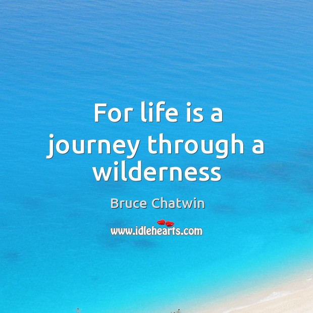 For life is a journey through a wilderness Bruce Chatwin Picture Quote