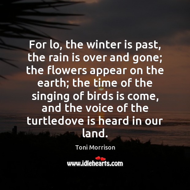 For lo, the winter is past, the rain is over and gone; Toni Morrison Picture Quote