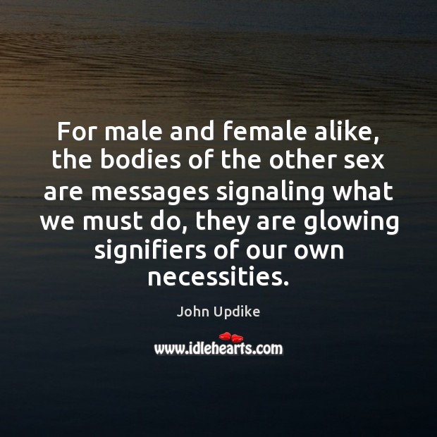 For male and female alike, the bodies of the other sex are John Updike Picture Quote