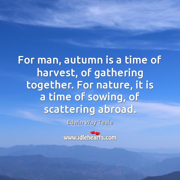 For man, autumn is a time of harvest, of gathering together. For Edwin Way Teale Picture Quote