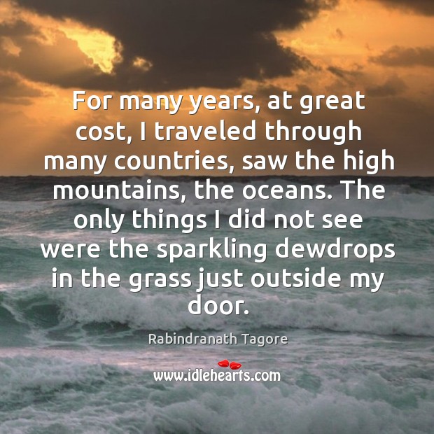 For many years, at great cost, I traveled through many countries, saw Rabindranath Tagore Picture Quote