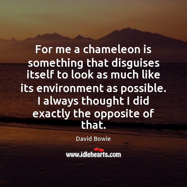 For me a chameleon is something that disguises itself to look as Environment Quotes Image