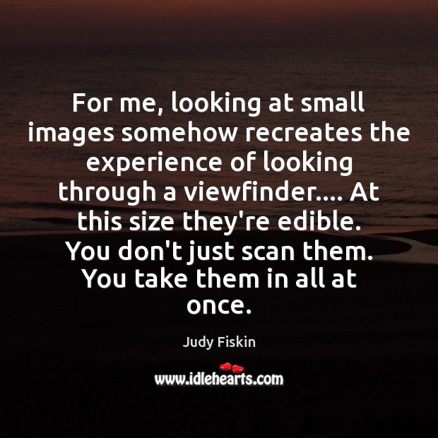 For me, looking at small images somehow recreates the experience of looking Judy Fiskin Picture Quote
