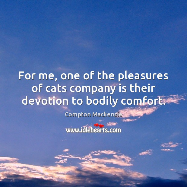 For me, one of the pleasures of cats company is their devotion to bodily comfort. Compton Mackenzie Picture Quote