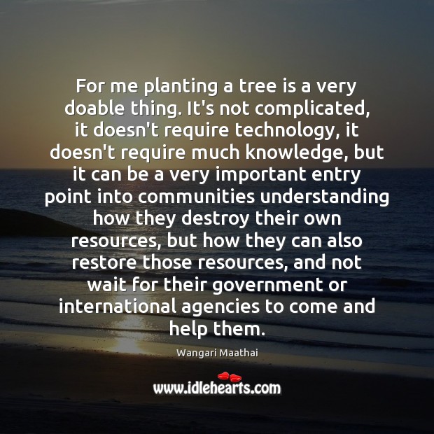 For me planting a tree is a very doable thing. It’s not Wangari Maathai Picture Quote