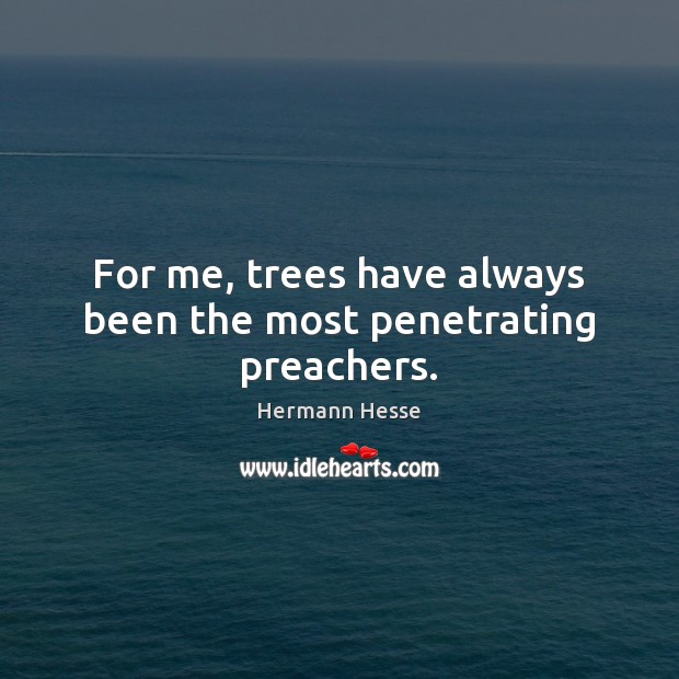 For me, trees have always been the most penetrating preachers. Hermann Hesse Picture Quote
