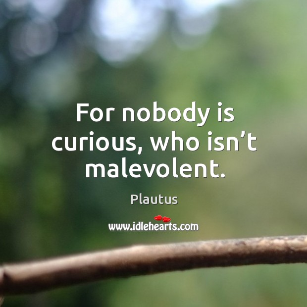 For nobody is curious, who isn’t malevolent. Plautus Picture Quote