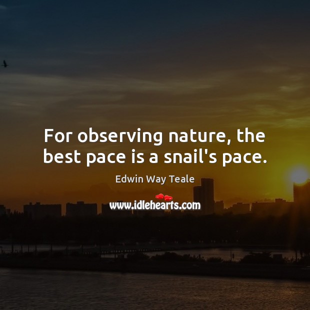 For observing nature, the best pace is a snail’s pace. Edwin Way Teale Picture Quote