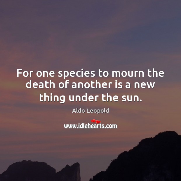 For one species to mourn the death of another is a new thing under the sun. Aldo Leopold Picture Quote
