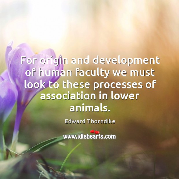 For origin and development of human faculty we must look to these processes of association in lower animals. Edward Thorndike Picture Quote