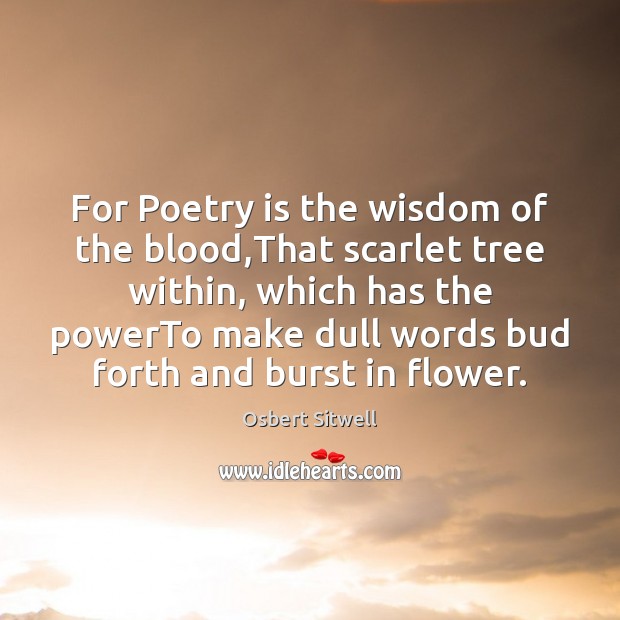 For Poetry is the wisdom of the blood,That scarlet tree within, Osbert Sitwell Picture Quote