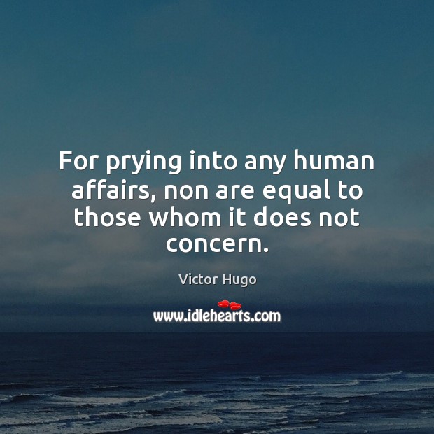 For prying into any human affairs, non are equal to those whom it does not concern. Victor Hugo Picture Quote