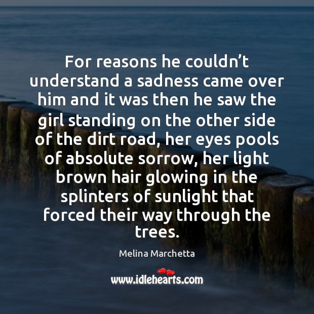 For reasons he couldn’t understand a sadness came over him and Melina Marchetta Picture Quote