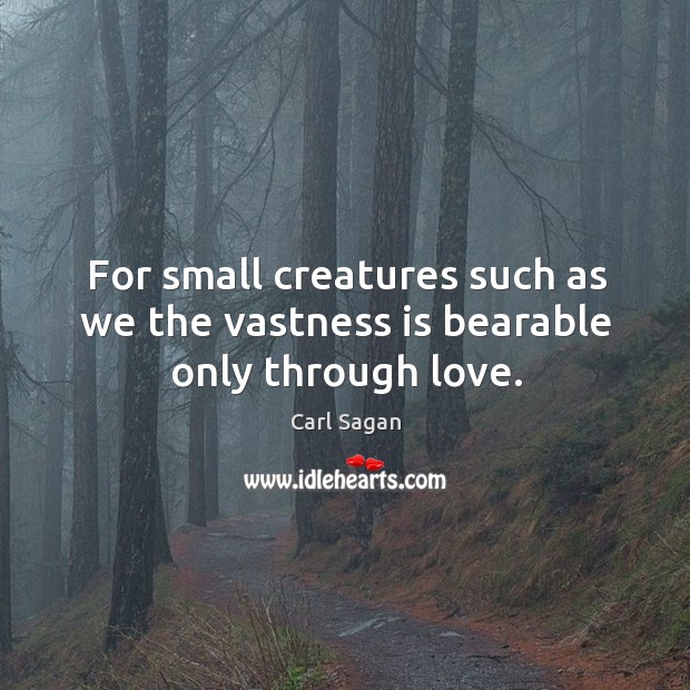 For small creatures such as we the vastness is bearable only through love. Carl Sagan Picture Quote