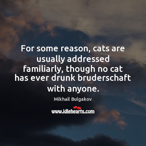 For some reason, cats are usually addressed familiarly, though no cat has Mikhail Bulgakov Picture Quote