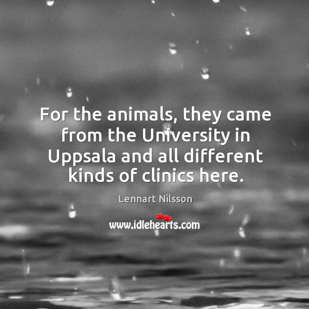 For the animals, they came from the university in uppsala and all different kinds of clinics here. Image