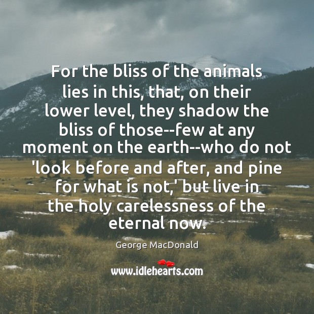 For the bliss of the animals lies in this, that, on their George MacDonald Picture Quote