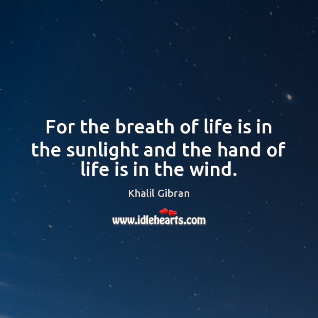 For the breath of life is in the sunlight and the hand of life is in the wind. Image