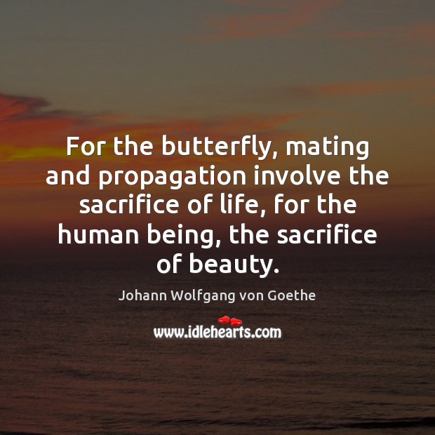 For the butterfly, mating and propagation involve the sacrifice of life, for Johann Wolfgang von Goethe Picture Quote
