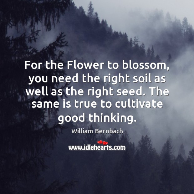 For the Flower to blossom, you need the right soil as well Image