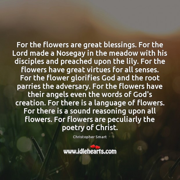 For the flowers are great blessings. For the Lord made a Nosegay Blessings Quotes Image
