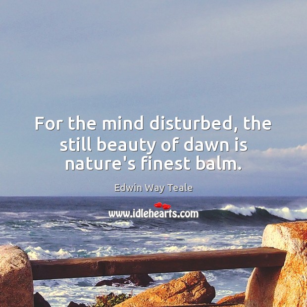 For the mind disturbed, the still beauty of dawn is nature’s finest balm. Edwin Way Teale Picture Quote