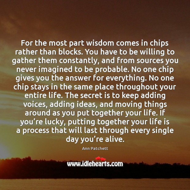 For the most part wisdom comes in chips rather than blocks. You Ann Patchett Picture Quote