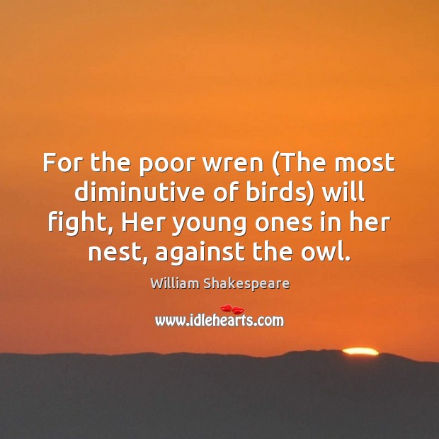 For the poor wren (The most diminutive of birds) will fight, Her William Shakespeare Picture Quote